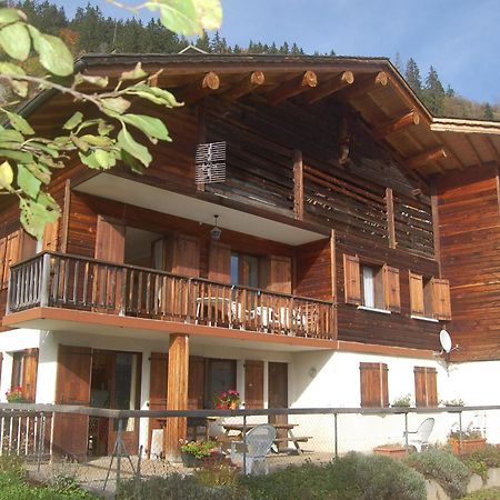 Appartement 6 Personnes, Animaux Acceptes, Parking - Le Grand-Bornand - Fr-1-467-39 외부 사진